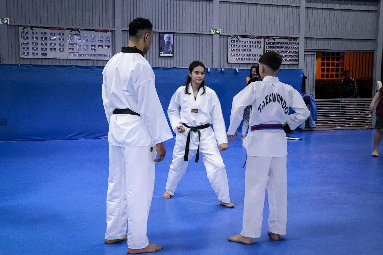Profissionais treinando Taekwondo